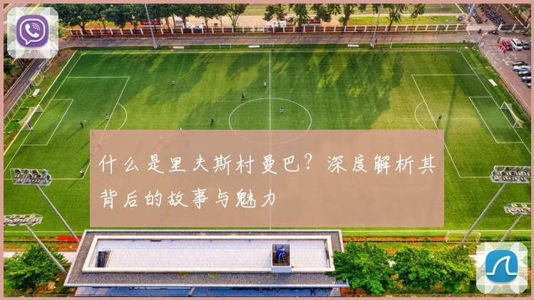什么是里夫斯村曼巴？深度解析其背后的故事与魅力