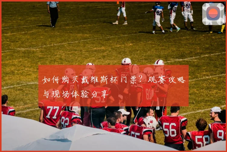 如何购买戴维斯杯门票？观赛攻略与现场体验分享