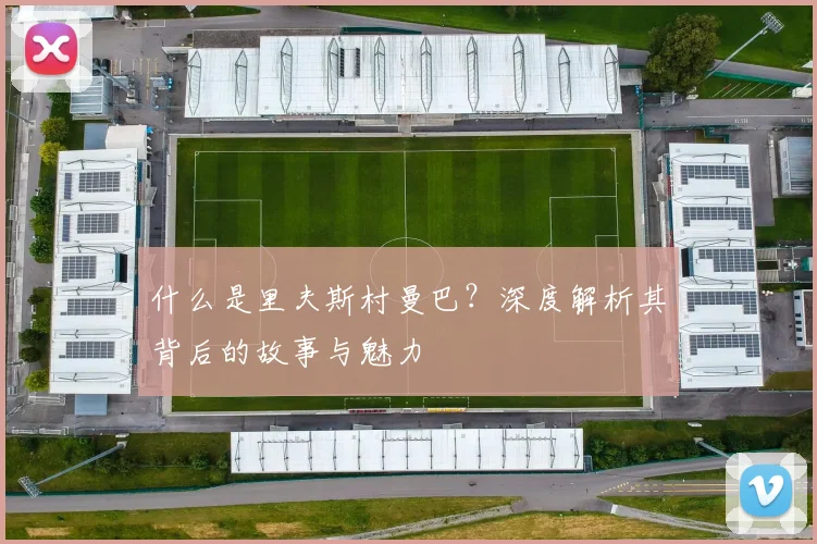 什么是里夫斯村曼巴?深度解析其背后的故事与魅力