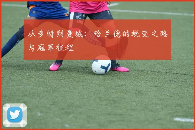 从多特到曼城：哈兰德的蜕变之路与冠军征程