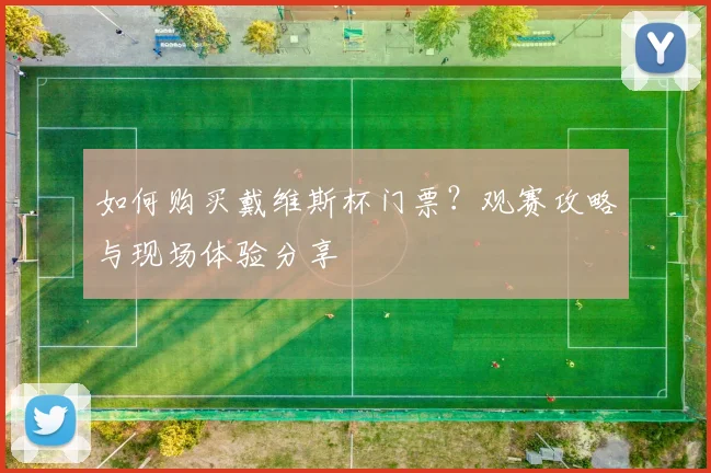 如何购买戴维斯杯门票？观赛攻略与现场体验分享